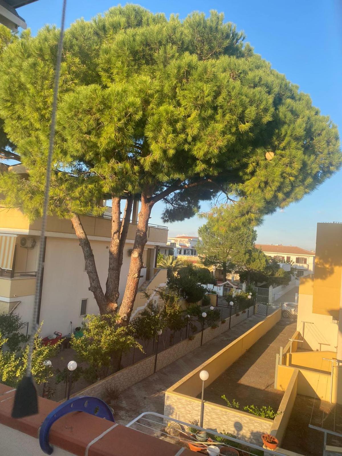 Villa Maniva Marina di Ginosa Eksteriør billede